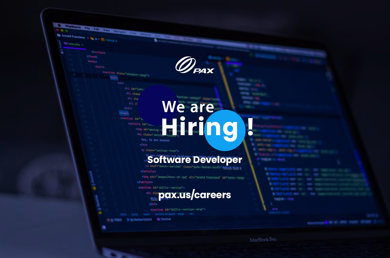 Software Developer